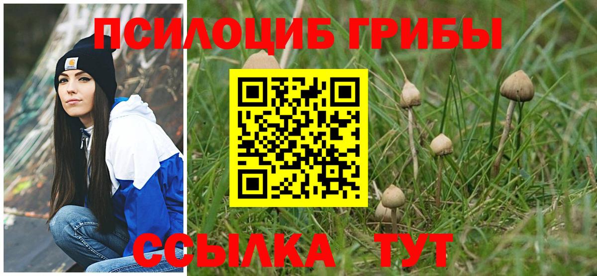 Галлюциногенные грибы мицелий  Псилоцибиновые грибы Psilocybine cubensis  Славянск-на-Кубани  Вход с VPN 